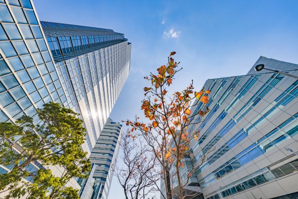 Commercial Property Appraisal Service