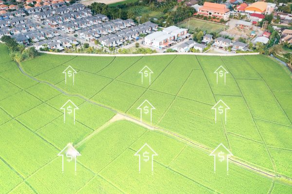Land Value Assessment